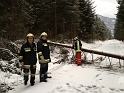 bild (27)